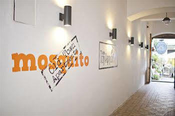 Vibes Apartment *